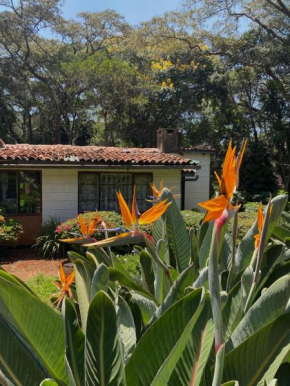 Cottage in paradisiacal garden